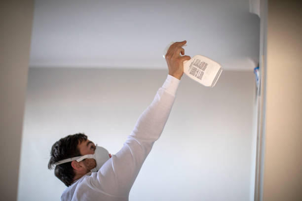 Best Mold Testing and Inspection Services in Oak Harbor, WA