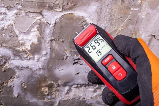 Best Emergency Mold Remediation in Oak Harbor, WA