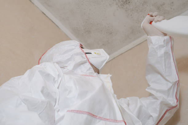 Best DIY Mold Remediation Support Services in Oak Harbor, WA